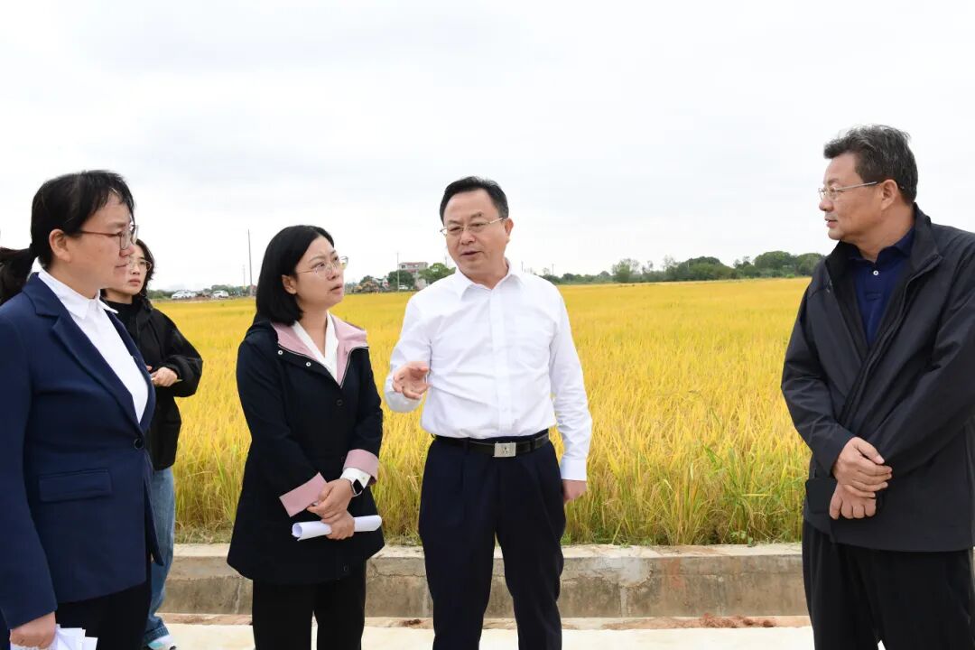 孙兵在调研高标准农田建设工作时强调 打造旱涝保收“丰收田” 助力粮食增产农民增收