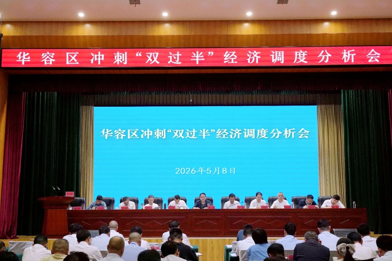 表彰先进树担当 锚定目标争发展华容区召开冲刺“双过半”经济调度分析会