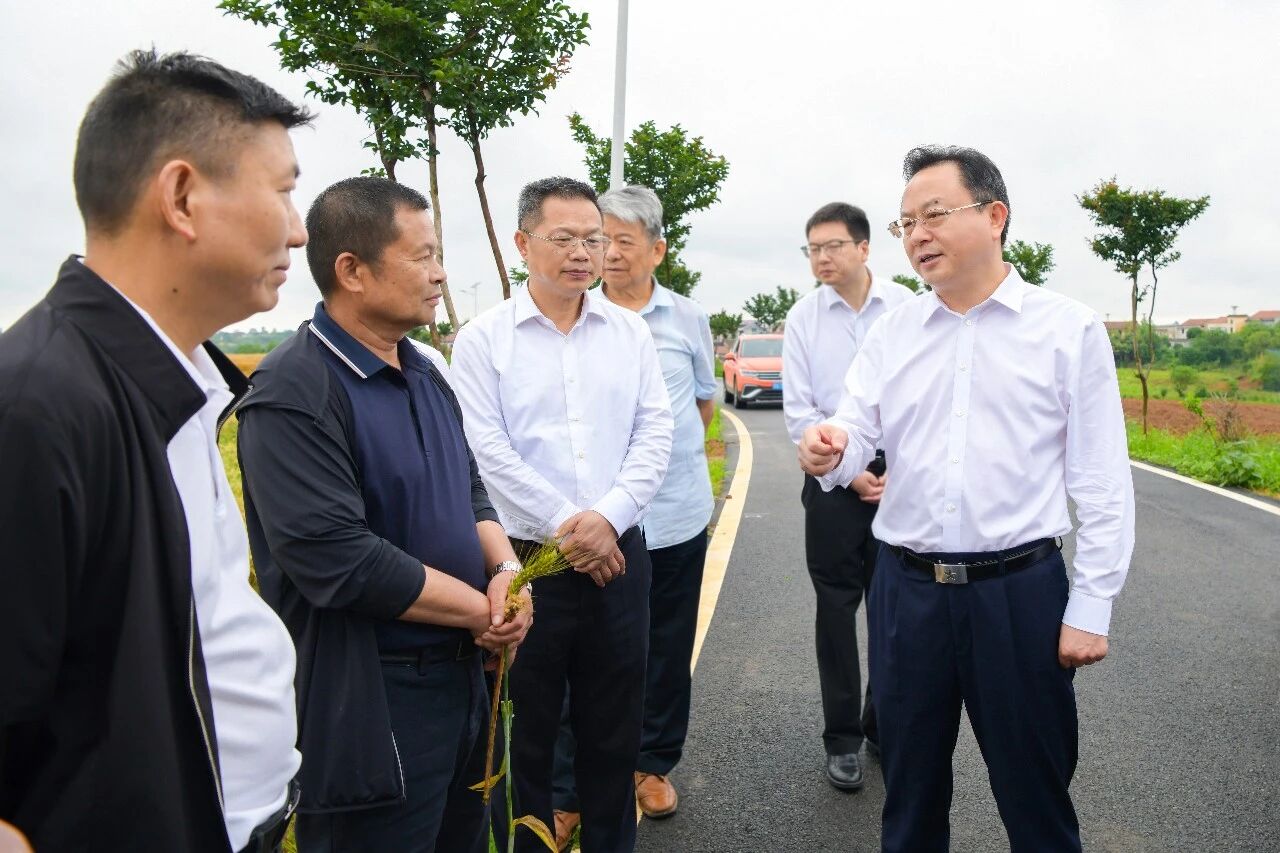 建好良田 育好良种 守好粮仓 孙兵调研华容高标准农田建设工作