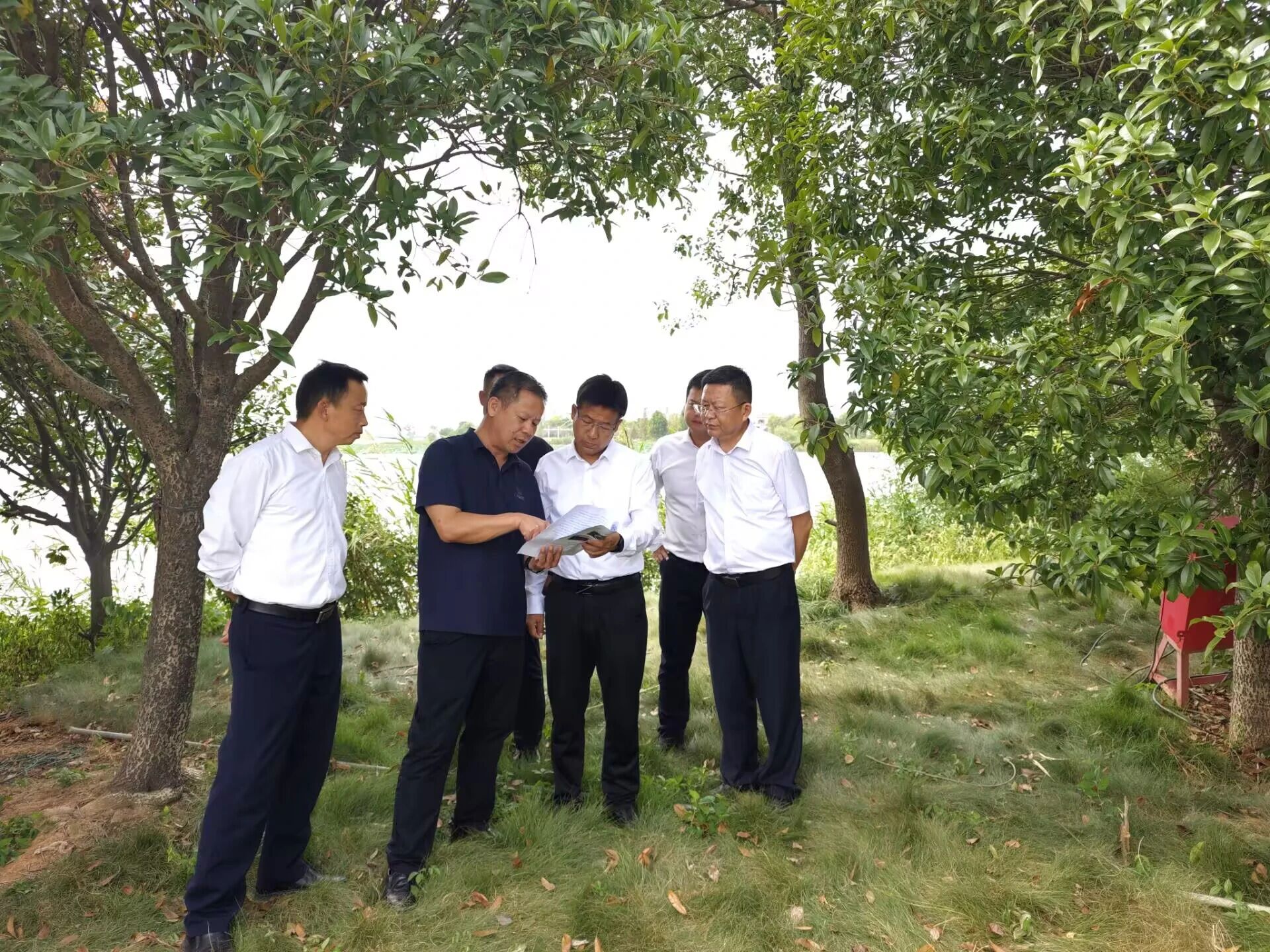 抓实生态问题整改 筑牢绿色发展防线 区领导调研生态环境突出问题整改工作